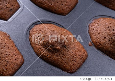 ココアマドレーヌ（ショコラマドレーヌ） 124503204