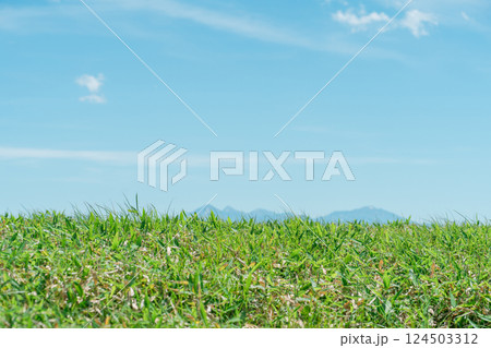 夏の空と高原の風景・観光地・旅行・山・名所 124503312