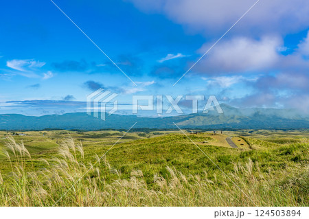 熊本県阿蘇市　秋の大観峰から眺める阿蘇のカルデラ 124503894
