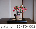 盆栽（ぼけの花紅白） 124504002