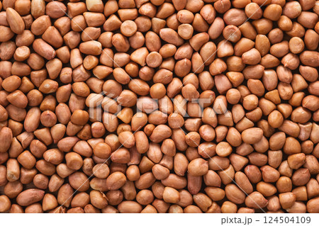 Natural abundance of raw peanuts, showcasing their organic texture and rich nutritional value. Natural abundance of raw peanuts, showcasing their organic texture and rich nutritional value. 124504109