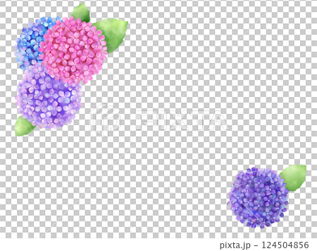 アジサイの背景 I-1 アジサイの背景 I-1 124504856