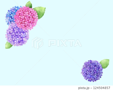 アジサイの背景　I-2 124504857