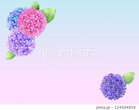 アジサイの背景 I-4 アジサイの背景 I-4 124504859