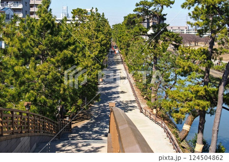 おくのほそ道の風景地 草加松原と綾瀬川【埼玉県草加市】 124504862
