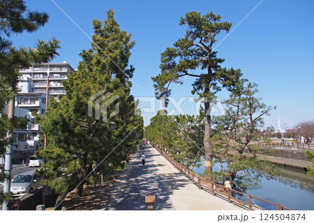 おくのほそ道の風景地 草加松原と綾瀬川【埼玉県草加市】 おくのほそ道の風景地 草加松原と綾瀬川【埼玉県草加市】 124504874