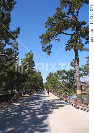 おくのほそ道の風景地 草加松原【埼玉県草加市】 おくのほそ道の風景地 草加松原【埼玉県草加市】 124504875