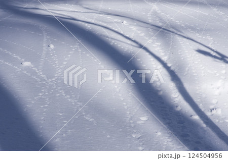 雪球の跡 124504956