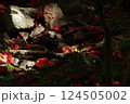 散り椿　七　2025 124505002