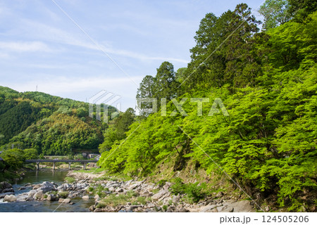香嵐渓の新緑《愛知県豊田市足助町》 124505206
