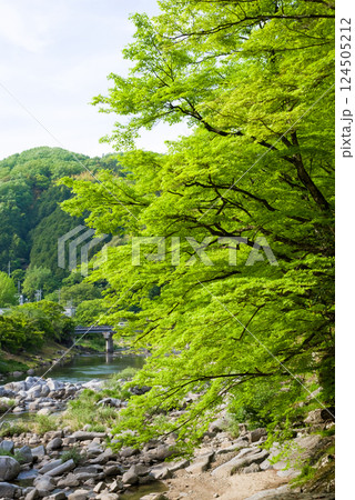 香嵐渓の新緑《愛知県豊田市足助町》 124505212