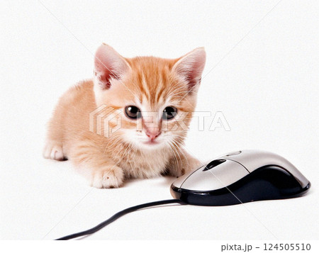 パソコンのマウスをいじる子猫 パソコンのマウスをいじる子猫 124505510