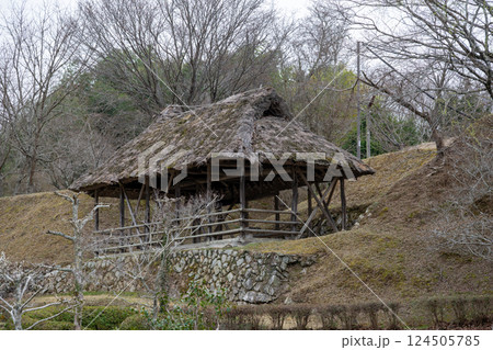 日本の岡山県備前市の八塔寺ふるさと村の美しい農村の風景 124505785