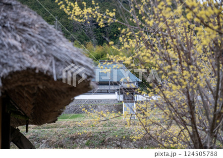 日本の岡山県備前市の八塔寺ふるさと村の美しい農村の風景 124505788