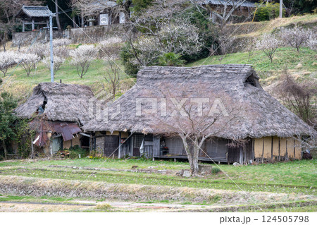 日本の岡山県備前市の八塔寺ふるさと村の美しい農村の風景 日本の岡山県備前市の八塔寺ふるさと村の美しい農村の風景 124505798