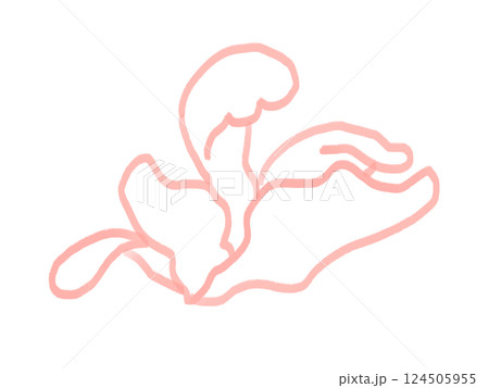 花の線画のイラスト 花の線画のイラスト 124505955