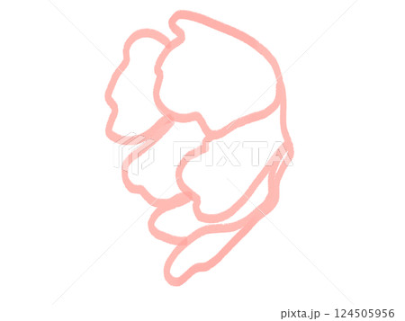 花の線画のイラスト 花の線画のイラスト 124505956