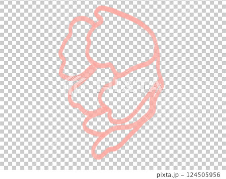 花の線画のイラスト 花の線画のイラスト 124505956