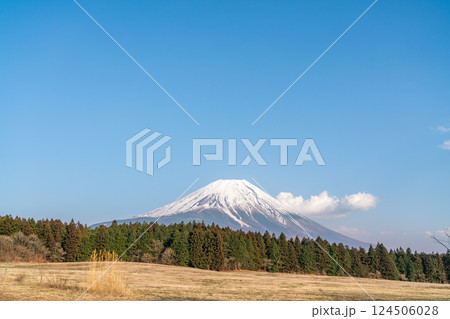 【静岡県】快晴の春の富士山 124506028
