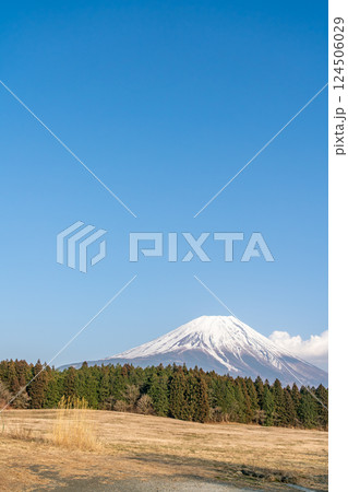 【静岡県】快晴の春の富士山 124506029