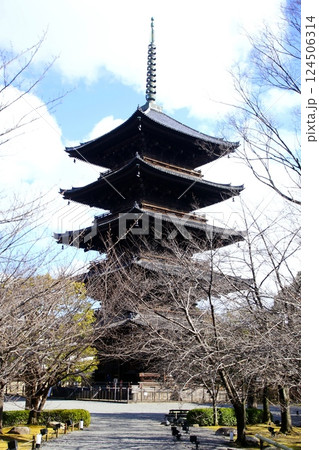 京都府 東寺・五重塔(国宝) 京都市 南区 九条町 2022年2月 京都府 東寺・五重塔(国宝) 京都市 南区 九条町 2022年2月 124506314