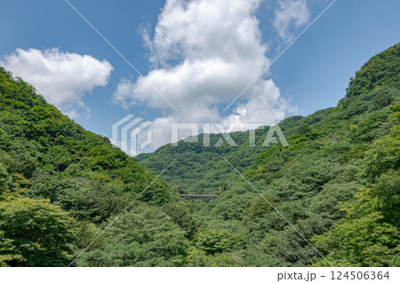 緑に映える碓氷峠 124506364