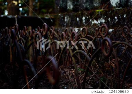 苔むした石造と錆びた鉄製柵の接写 124506680