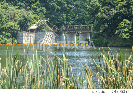 碓氷湖の風景 碓氷湖の風景 124506855