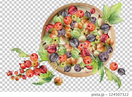 Currant gooseberry clusters, leaves on ceramic dish, hand drawn in watercolor, ripe picked garden berry harvest, casseille jostaberry. Isolated illustration. Organic food branding, fresh grocery store 124507322