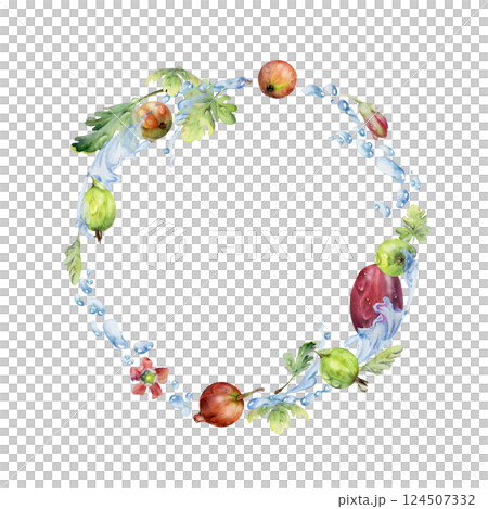Gooseberry Currant berries wreath flying in water splash with green leaves, dew drops, ripe garden juneberry casseille jostaberry hand drawn in watercolor. Isolated circle frame. Fresh grocery store Gooseberry Currant berries wreath flying in water splash with green leaves, dew drops, ripe garden juneberry casseille jostaberry hand drawn in watercolor. Isolated circle frame. Fresh grocery store 124507332