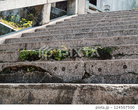 Cracked stone steps adorned with moss during midday Cracked stone steps adorned with moss during midday 124507500