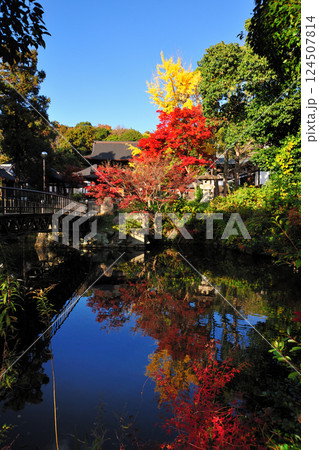 乾坤院の紅葉 乾坤院の紅葉 124507814