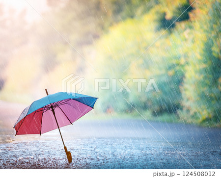 雨の日の傘 124508012