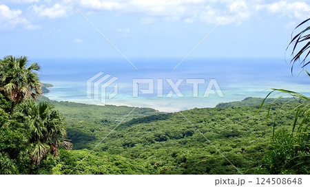 沖縄県八重山諸島西表島のユツン三段の滝から見える風景 124508648