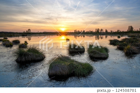 High Fens, Eifel, Belgium 124508701