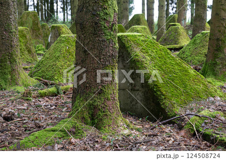 Westwall, Eifel, North Rhine Westphalia, Germany Westwall, Eifel, North Rhine Westphalia, Germany 124508724