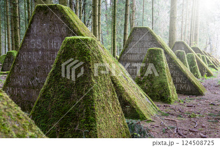 Westwall, Eifel, North Rhine Westphalia, Germany Westwall, Eifel, North Rhine Westphalia, Germany 124508725