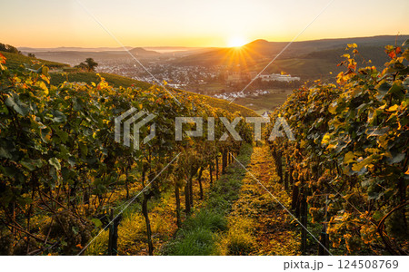 Bad Altenahr, Ahr, Rhineland-Palatinate, Germany Bad Altenahr, Ahr, Rhineland-Palatinate, Germany 124508769