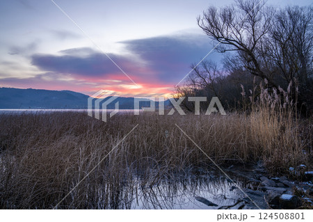 Laacher lake, Eifel, Rhineland-Palatinate, Germany 124508801