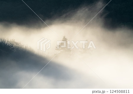 Eifel landscape, Rhineland-Palatinate, Germany Eifel landscape, Rhineland-Palatinate, Germany 124508811