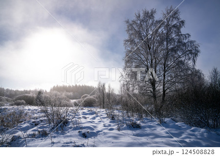 Wintertime in High Fens, Eifel, Belgium Wintertime in High Fens, Eifel, Belgium 124508828