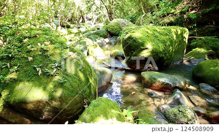 沖縄県西表島のユチン川の風景 124508909