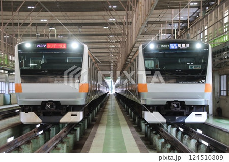 JR東日本E233系0番台(ホリデー快速・中央特快・相模湖) JR東日本E233系0番台(ホリデー快速・中央特快・相模湖) 124510809