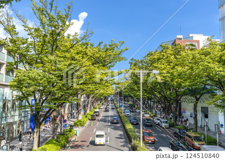 東京渋谷の都市風景　表参道 124510840