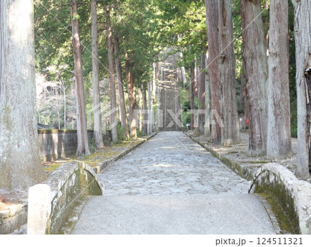 参道と階段 124511321