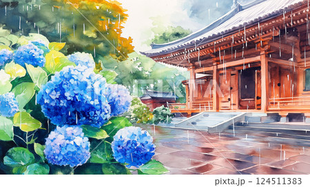 雨の庭園に咲き誇る青い紫陽花と古い寺の趣ある風景を描いた水彩画イラスト素材 124511383