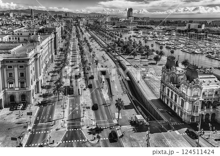 Aerial view of Passeig de Colom, Barcelona, Catalonia, Spain 124511424