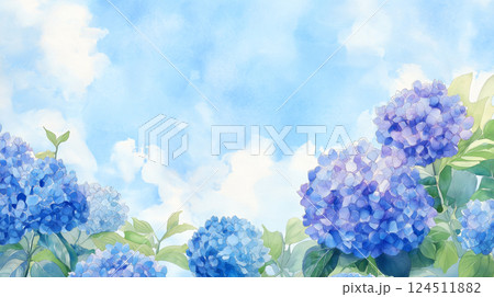 和風寺院と満開の紫陽花が映える爽やかな夏空 124511882