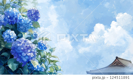 夏の青空と寺院を背景に咲く美しい紫陽花の風景 124511891