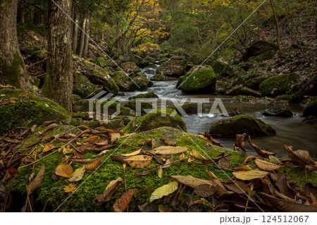 滝沢渓谷の風景 滝沢渓谷の風景 124512067